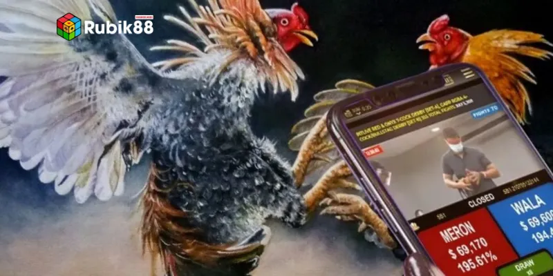 Đá gà mạng là gì?