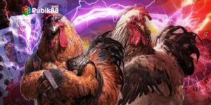 Giới thiệu đôi nét về chuyên mục đá gà Thomo hôm nay tại Rubik88